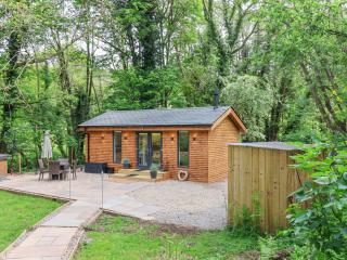 Roe Deer Lodge - Whitby - 8