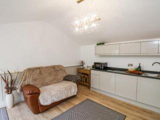 Roe Deer Lodge - Whitby - 3