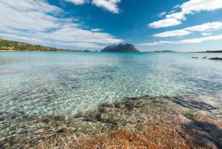 Villa Majra - Klodge - Olbia - 1
