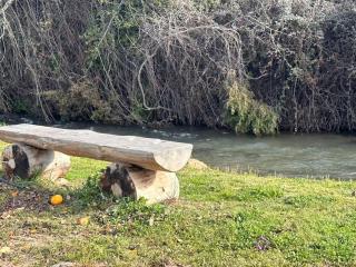 על הנחל בקיבוץ - 8