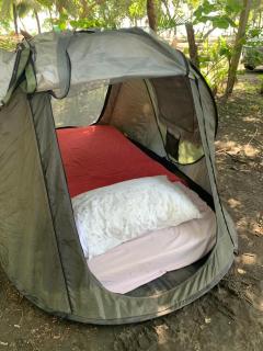 Camping Babsita-TIPI und Hütten und Stellplätze für Zelt und Camper direkt am Meer und See - Tuba Creek - 7