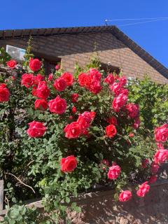 Areni Wine Cellar - 6