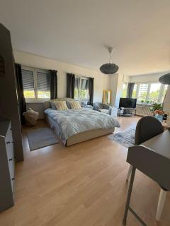 MTL Schweiz Apartments - Kreuzlingen - 4