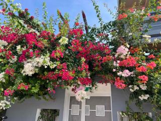 Hiri Inn - Manadhoo - 0