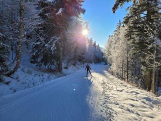 Auberge Des Chasseurs - 4