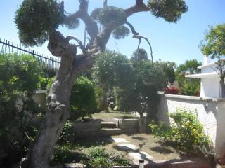 Bnb Villa Lucia - Bari - 1