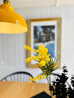 Ferienhaus Trollblume - Sankt Andreasberg im Harz - 6