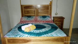 Jungle et Océan Chez Bethy - 5