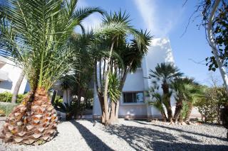 Phalanthos B&B - Leporano - 0