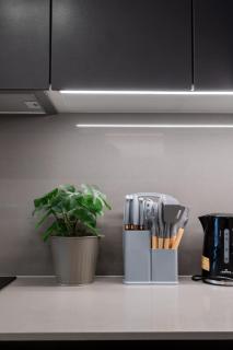 Stylish 1BR Sleep Shop Near Araucano Park - Santiago - 2