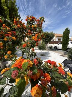 Casa de Ensueño - Mazarrón - 5