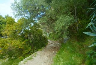 Apartment Nimai with 2 bedroom, Split, near Park Marjan - Split - 4