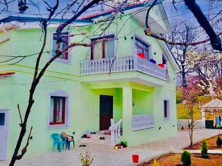 Bujtina Bashllari - - 1