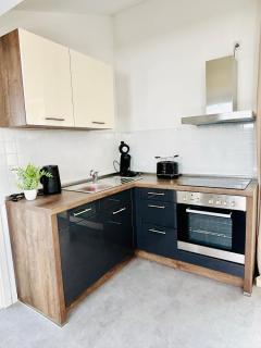 SH-Apartments-Stilvolles Studio in der Altstadt - Erfurt - 2