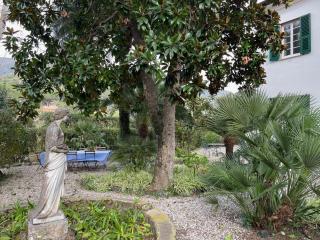 Villa Marina - Monterosso al Mare - 5