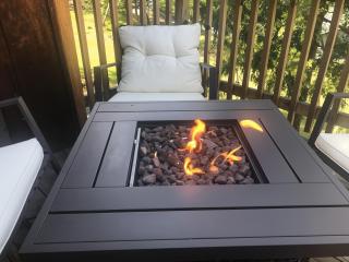 Pet Friendly Grizzly Blair Lodge Cabin - Groveland - 7