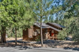 Pet Friendly Grizzly Blair Lodge Cabin - Groveland - 6