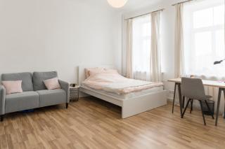 Families & Groups 3 Bedrooms Free Parking - Riga - 2