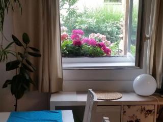 Ferienwohnung Am Berg, 35qm - Rickenbach - 5