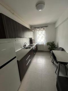 Dobroesti Relax Apart - Dobroeşti - 6