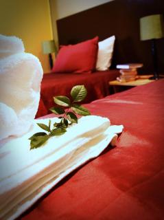 Elsjes Guesthouse - Kempton Park - 4