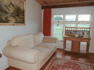 The Wild Olive Sanctuary Accommodation - Paterson - 1