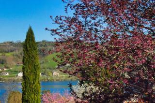 L'HERMITAGE maisonnette lake view beach 5 min walk - Bilieu - 3