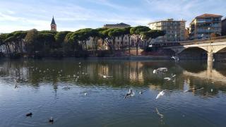 Da Titta - Lavagna - 4