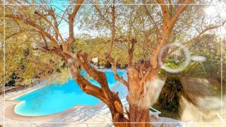 Provencal Parenthesis - Antibes - 4