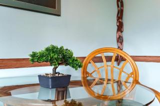 Big Island Kona Plaza 220 by Coldwell Banker Island Vacations - Kailua-Kona - 2