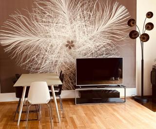 Studio/Loft in Eberswalde - Eberswalde-Finow - 9