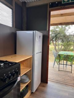 The Termite Mound - Termite Tented - 5