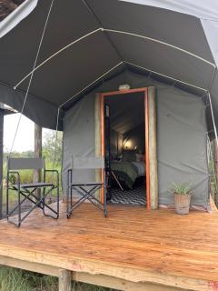 The Termite Mound - Termite Tented - 2