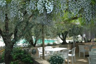 Olivier Hôtel - Vinon-sur-Verdon - 7