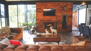 BIMBA en el corazón del bosque, Huasca - La Venta - 4