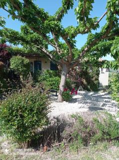 Le Cabanon d'Amandine et Gabriel - Blauvac - 9
