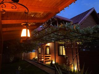 Casa DanAdy - Sibiu - 1