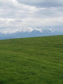 Apartamenty HAWOK - 1