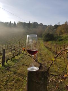 Agriturismo Villa Paradisino MUSICO - Montalcino - 8