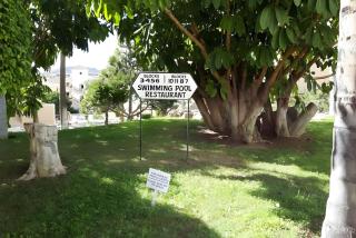 Apartment With Pool And Gardens - San Miguel de Abona - 6