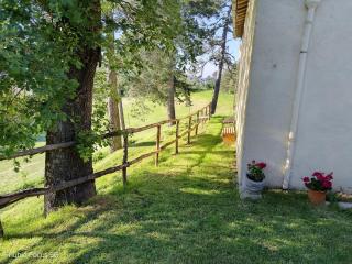 Podere Casone - SantʼAdriano - 1