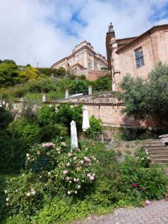 Il giardino di Olivia - Guarene - 0