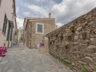 La casa tra gli ulivi - Ranzo-Borgo - 9