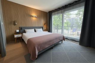 Savoie Hotel aux portes de Genève - Saint-Julien-en-Genevois - 3