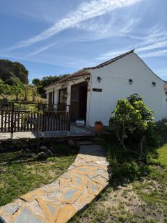 Finca Santa Teresa, Casa La Higuera - Casares - 3