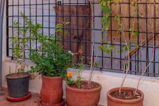 Riad Akkioui - Marrakesch - 6