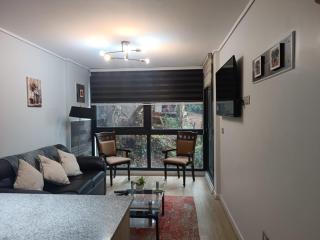 Departamento 57m2 Costanera Valdivia, Parking Privado Bodega - Valdivia - 9