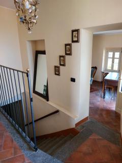 Il giardino di Olivia - 1