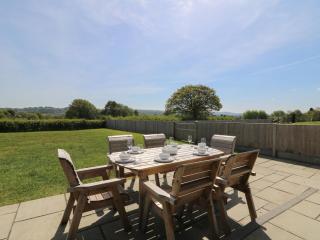 Brecknock Cheviot - The Sheepfold - Llandrindod Wells - 8
