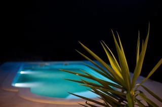Villa Host - - 4
